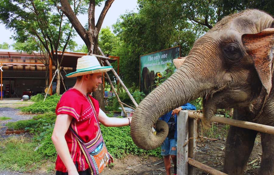 Bangkok Highlights: Ethical Elephant Care and Buffet Lunch - Getting There from Bangkok: Pickup, Drive Time, and How Long to Block
