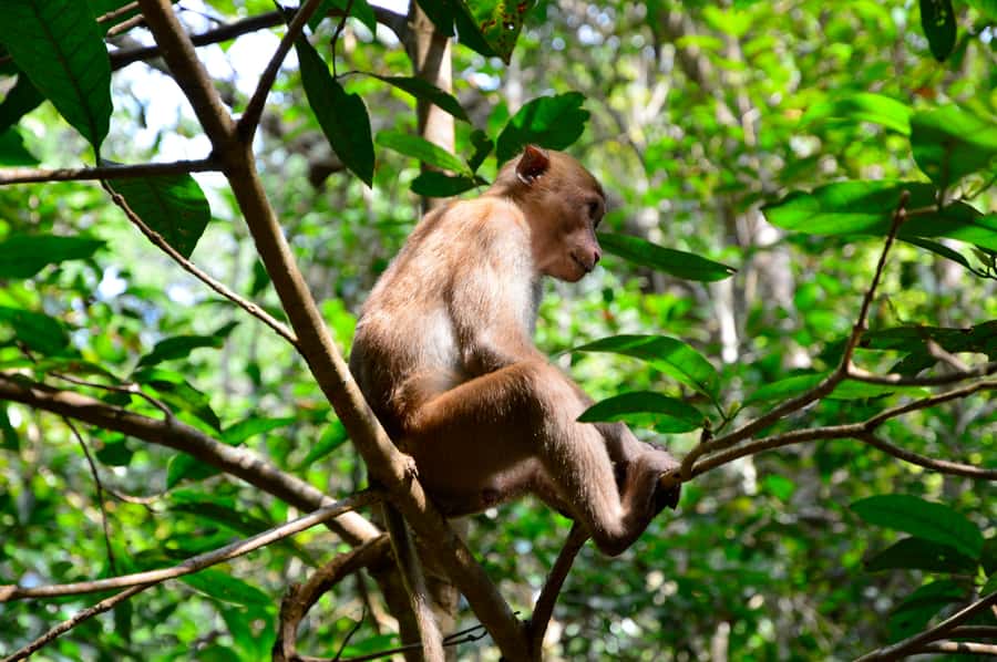 Bangkok: Kanchanaburi and Erawan Waterfall Private Tour - Private van, English guide, and how pacing feels over 11 hours