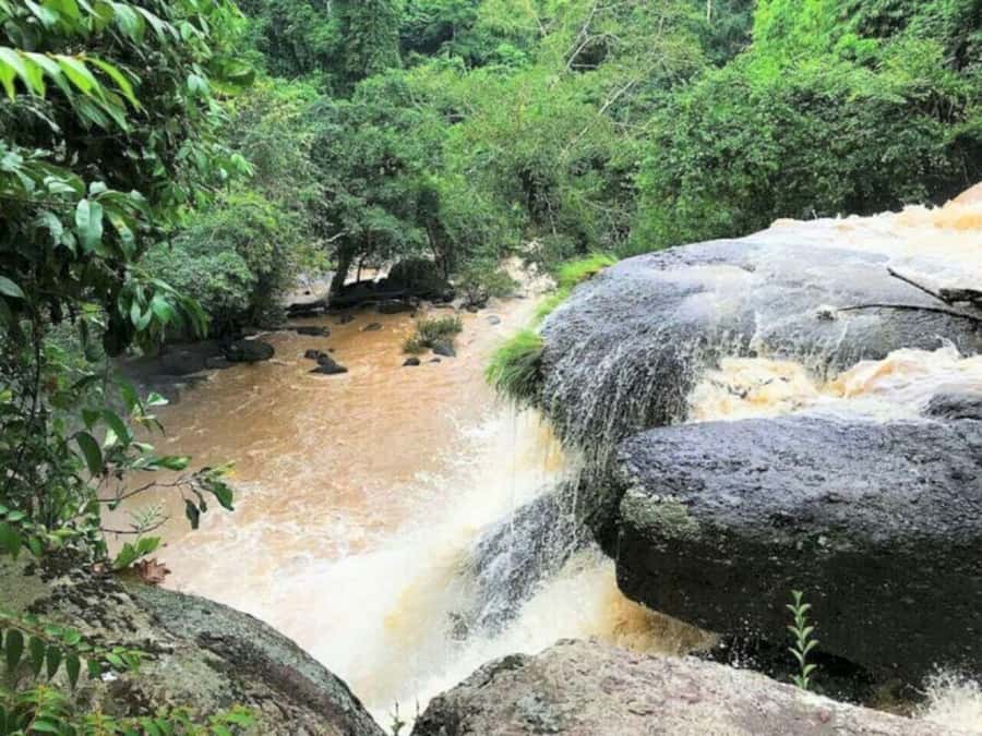 Bangkok: Khao Yai Nature Trails & Heaw Suwat Waterfall - What the best guides do on the trail