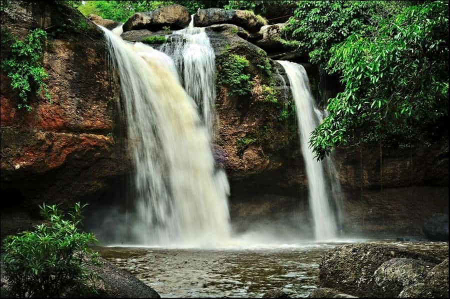Bangkok: Khao Yai Nature Trails & Heaw Suwat Waterfall - Wanali Restaurant lunch: real Thai food with options