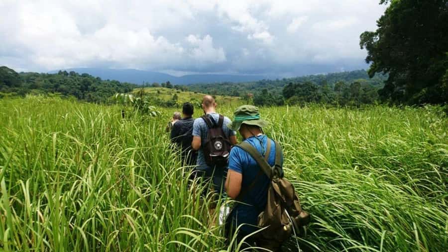 Bangkok: Khao Yai Nature Trails & Heaw Suwat Waterfall - Getting to the park: early start, central drop-off, real timing
