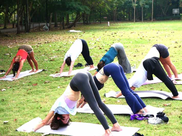 Bangkok: Lumpini Park Yoga Experience - The 75 Minutes: Breathwork, Yoga, and a Touch of Outdoor Sightseeing