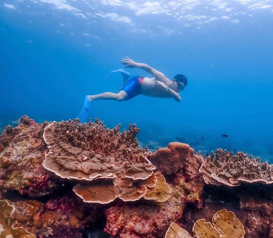 Bangkok: Nemo Island Day Trip with Drone Photos and Lunch - Photos, Drone Shots, and How You Actually Get Them
