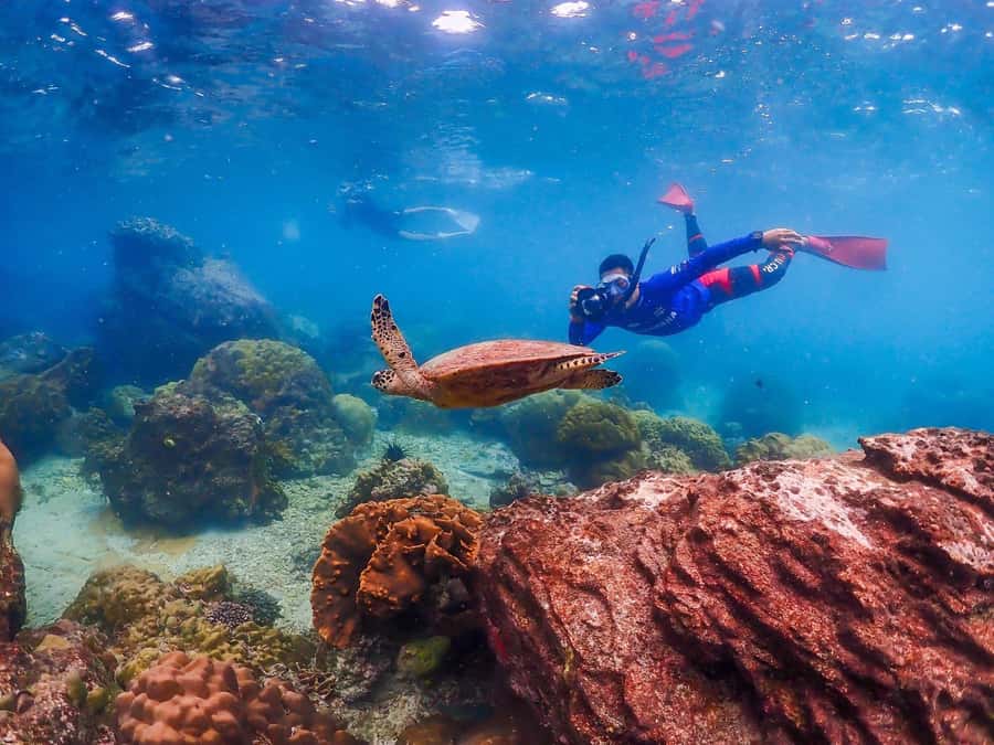 Bangkok: Nemo Island Day Trip with Drone Photos and Lunch - What to Pack and What to Skip (So the Day Stays Easy)