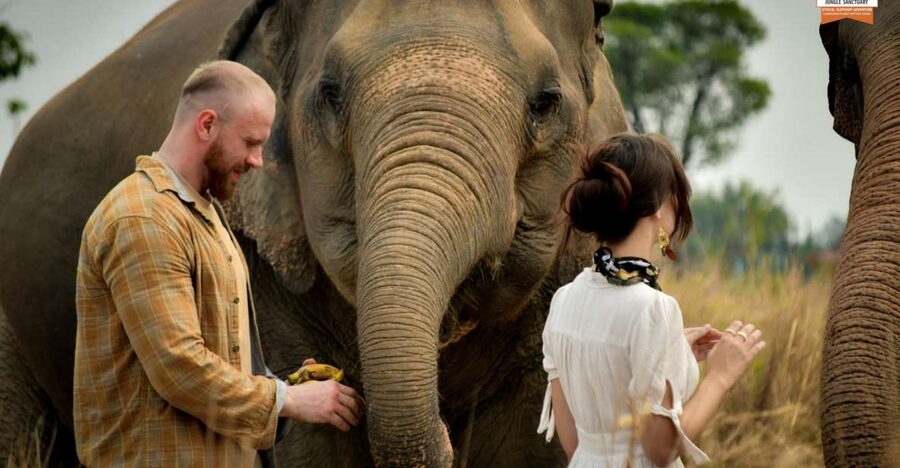 Bangkok: Pattaya Elephant Jungle Sanctuary Half-Day Tour - Food, Showers, and What to Do With Your Wet Clothes