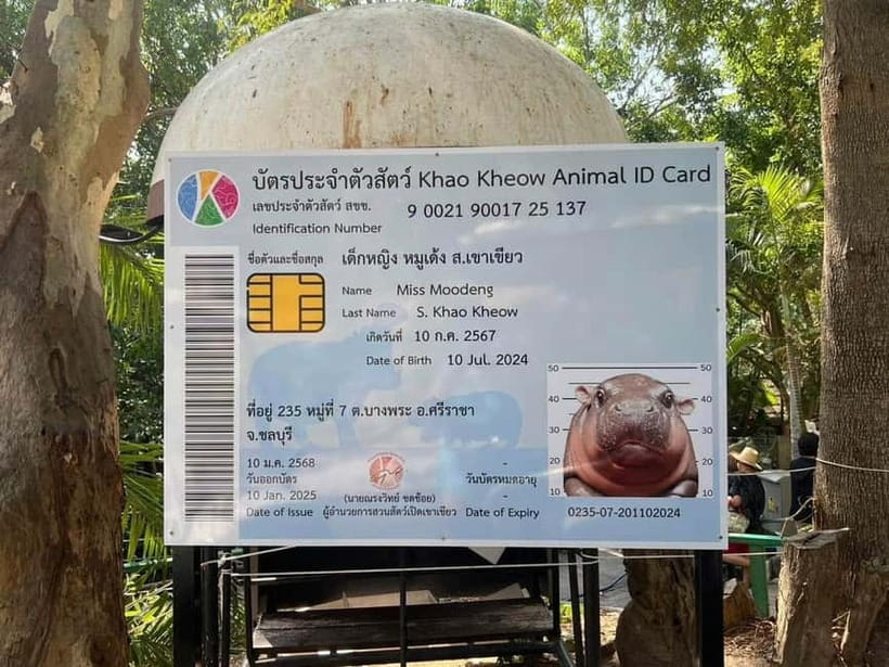 Bangkok/Pattaya: Khao Kheow Zoo Private Tour with Pickup - Price and value: is $64 per person a fair deal?