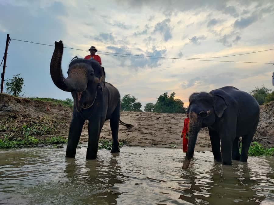 Bangkok: Private Trip to Ayutthaya Temples & Night Market - Private Ayutthaya from Bangkok, without the hassle