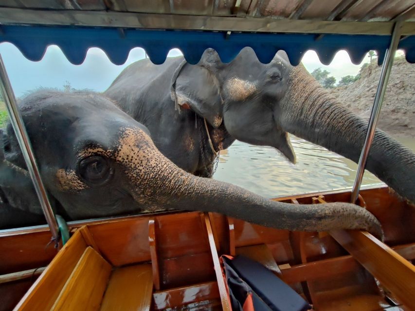 Bangkok: Private Trip to Ayutthaya Temples & Night Market - Wat Chaiwatthanaram sunset: the payoff