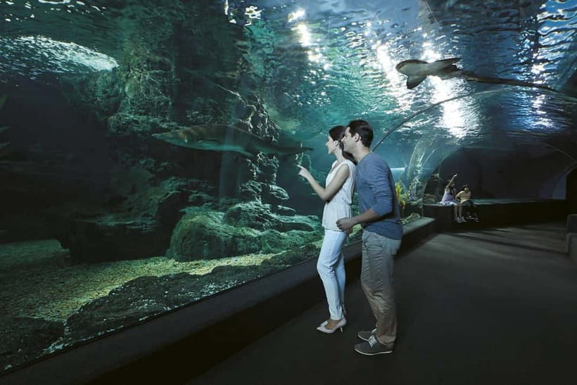 Bangkok: SEA LIFE Bangkok & Madame Tussauds Entry Ticket - Key things to know at a glance