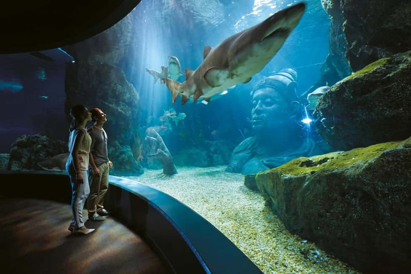Bangkok: SEA LIFE Bangkok Ocean World Entry Ticket - Finding the Aquarium in Siam Paragon (and getting oriented fast)