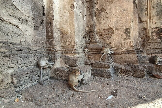Bangkok to Ayutthaya Lopburi Monkey Temple, Largest Buddha Tour - Getting the timing right: how the 10-hour day is paced