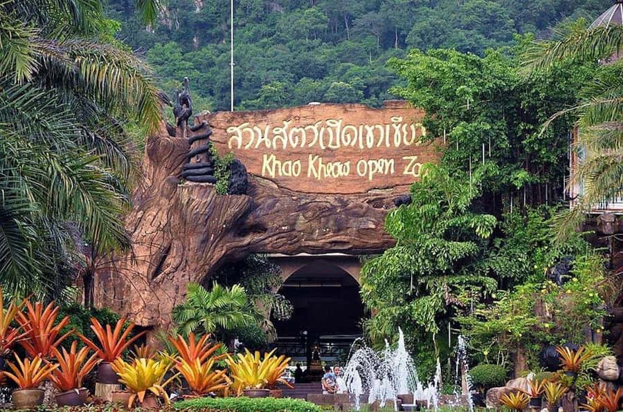 Bangkok to Moo Deng: Private Transfer To Khao Kheow Zoo - Beating heat and saving energy with a golf cart plan
