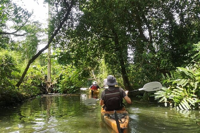 Bangkok Tour by Boat and Bike - Who this tour fits best (and who should skip it)