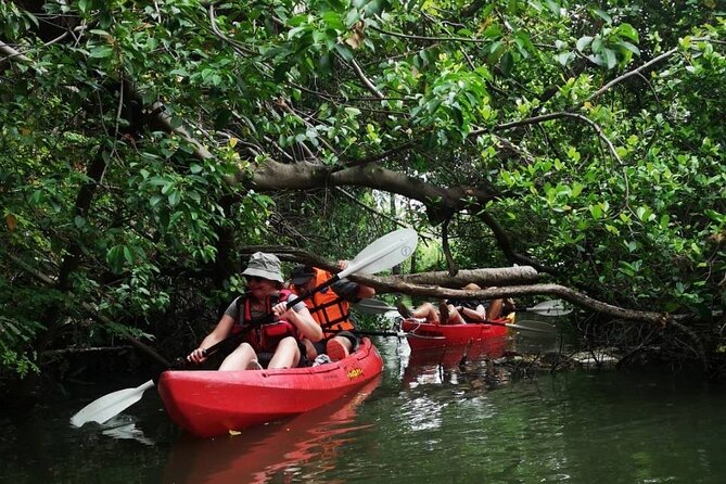 Bangkok Tour by Boat and Bike - Should you book the Bangkok boat-and-bike tour?
