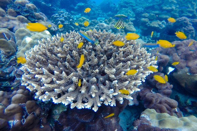 Best of Phi Phi Islands Snorkeling Tour from Phuket - Viking Cave: quick context, local stories, and a break from sun time