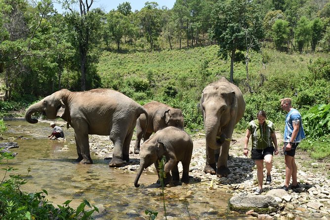 Care Pride Elephants: Full-Day Tour Experience - The guides make or break the day