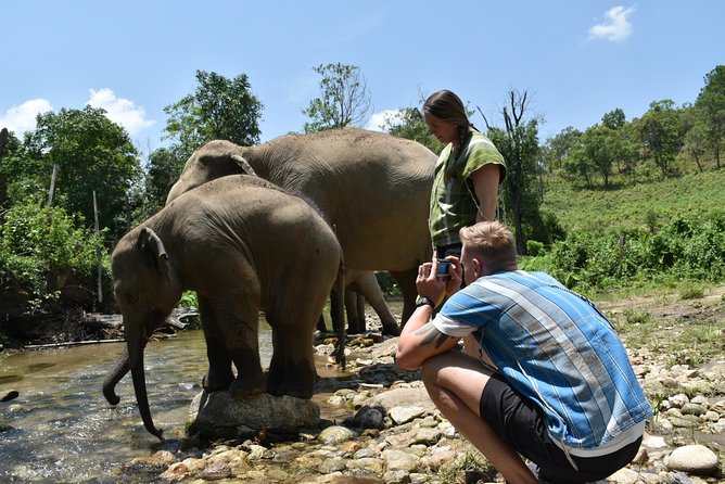 Care Pride Elephants: Full-Day Tour Experience - Price and value: why $91.31 can feel fair