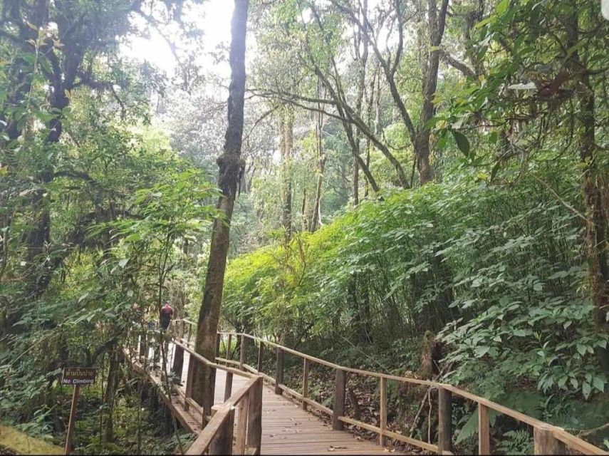 Chang Mai: Doi Inthanon Day Tour w/Waterfalls & Hilltribes - Key highlights that make this tour worth your day