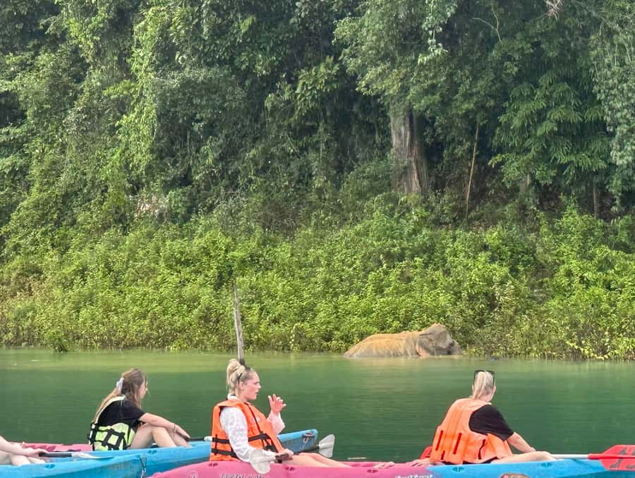 Cheow Larn Lake - Hiking - Cave Explore - Wildlife Safari - Wildlife safari by longtail boat on the return water ride