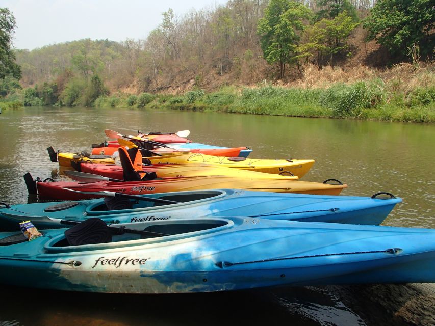 Chiang Mai: 15 km Leisure River Kayaking at Mae Ngat forest - Price and What You Really Get for $62