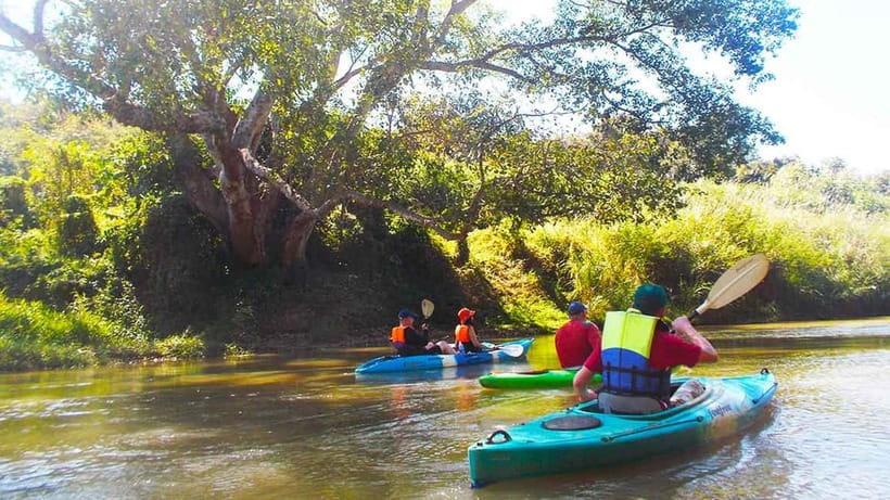 Chiang Mai: 15 km Leisure River Kayaking at Mae Ngat forest - Equipment, Storage, and the Comfort Details That Add Up