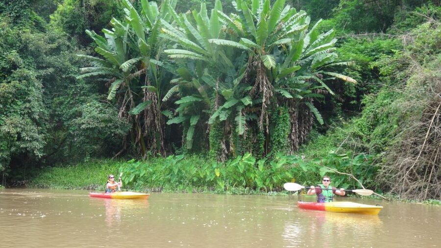 Chiang Mai: 15 km Leisure River Kayaking at Mae Ngat forest - From Hotel Pickup to Starting Spot, Then Paddle Training
