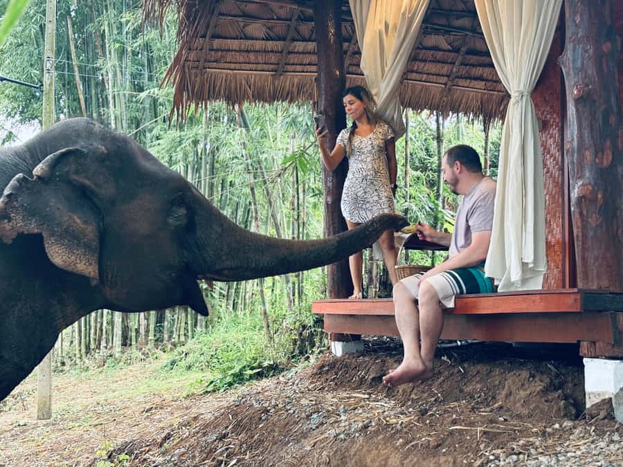 Chiang Mai 2-Day: Good Morning Elephant & Overnight Homestay - Key Things I’d Highlight Before You Go