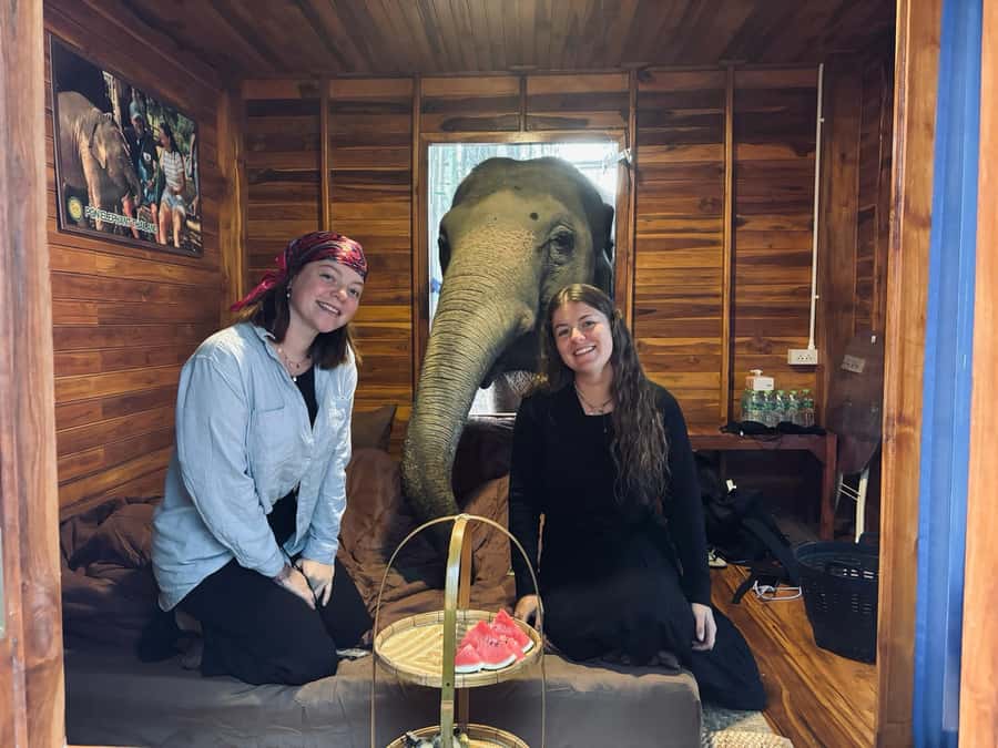 Chiang Mai 2-Day: Good Morning Elephant & Overnight Homestay - What to Pack, and How to Handle the Forest Comfort Reality