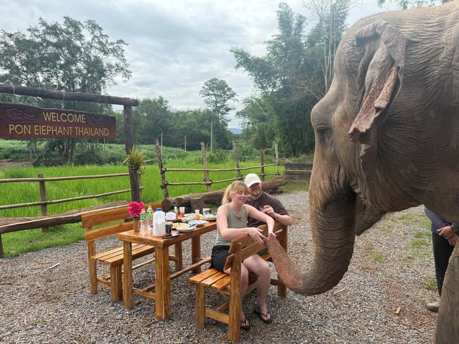 Chiang Mai 2-Day: Good Morning Elephant & Overnight Homestay - Dinner With a Host Family, Campfire Time, and What Overnight Really Adds