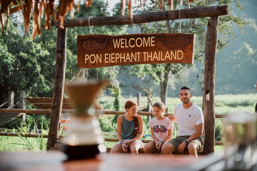 Chiang Mai 2-Day: Good Morning Elephant & Overnight Homestay - Day 2: Good Morning Elephant Encounters From Your Own Bedroom Area