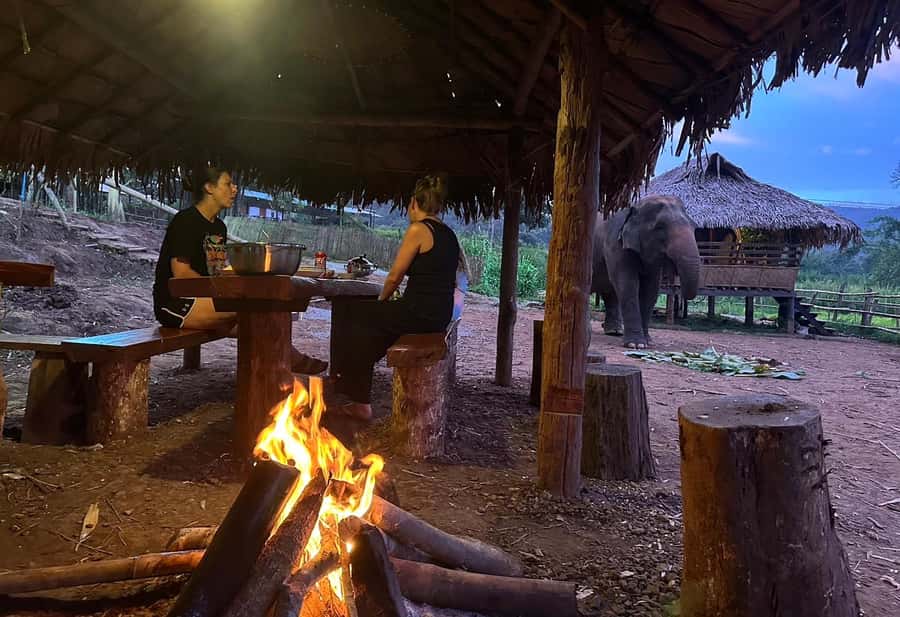 Chiang Mai 2-Day: Good Morning Elephant & Overnight Homestay - Learn the Elephant-Mahout Mindset, Not Just the Photo Spots