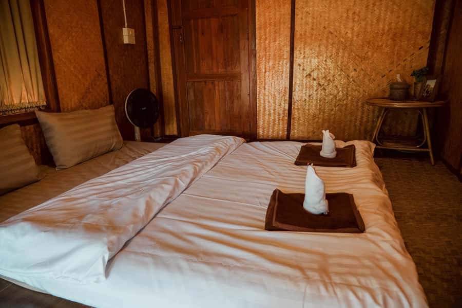 Chiang Mai 2-Day: Good Morning Elephant & Overnight Homestay - Price and Value: What You Get for About $128