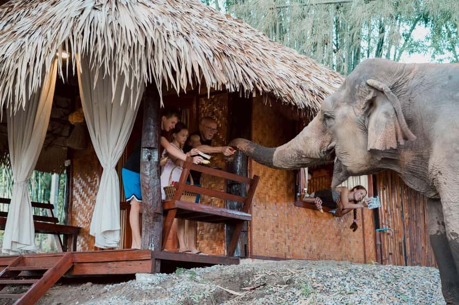 Chiang Mai 2-Day: Good Morning Elephant & Overnight Homestay - Day 1: The Mae Wang Valley Drive, Elephant Greeting, and River Relaxation