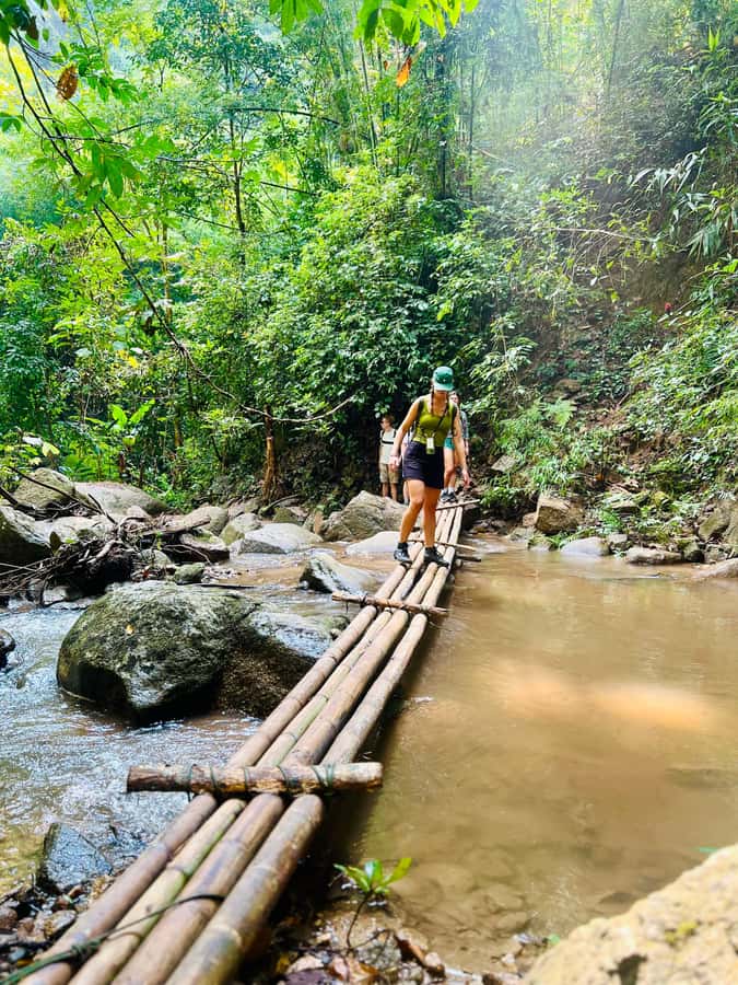 Chiang Mai 2-Day: Trekking, Tubing & Elephant Observation - Elephant observation add-on: ethical viewing with welfare-first rules