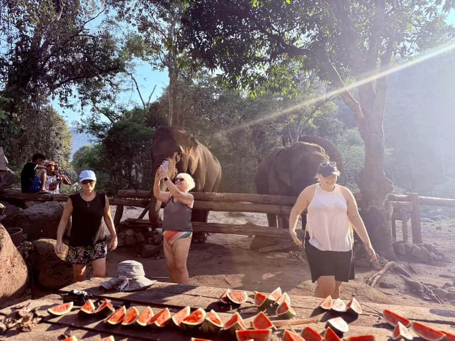 Chiang Mai 2-Day: Trekking, Tubing & Elephant Observation - Dinner under the stars and optional Thai massage to finish the day