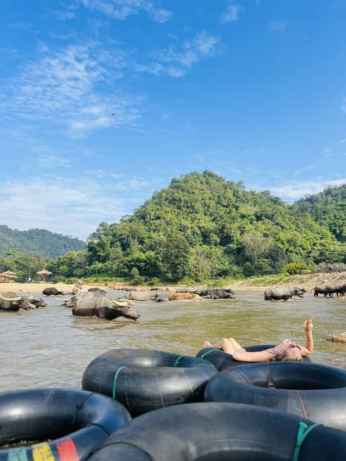 Chiang Mai 2-Day: Trekking, Tubing & Elephant Observation - Day 2: breakfast, a relaxed morning, and return to Chiang Mai