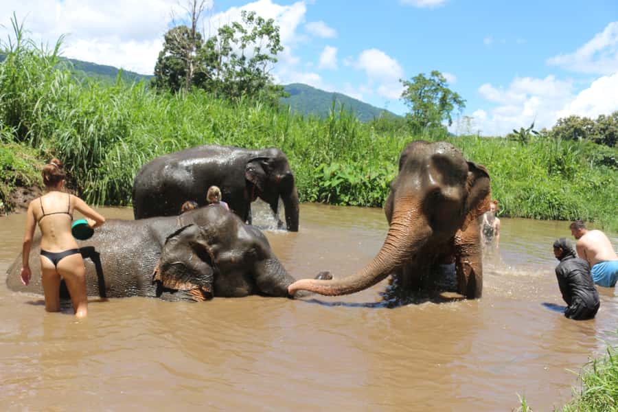 Chiang Mai: 2 Days, 1 Night Non-Tourist Trek - Who should book, and who should skip