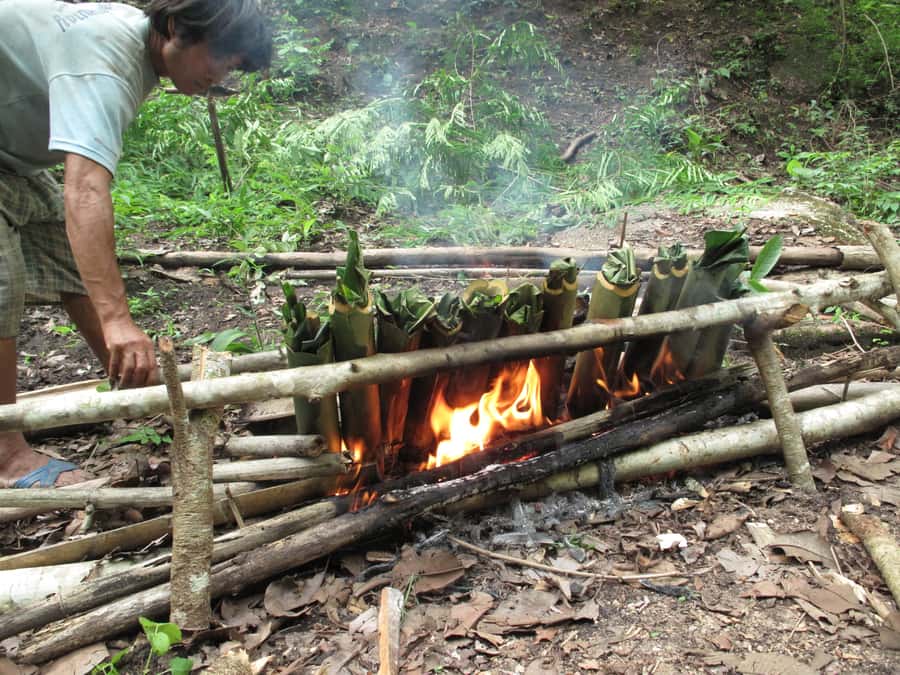 Chiang Mai: 2 Days, 1 Night Non-Tourist Trek - Day 1: Elephant camp, jungle cooking, and lantern night