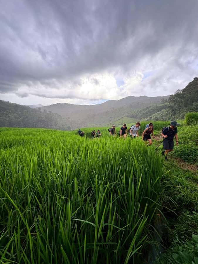 Chiang Mai: 2-Days Jungle Trek, Waterfalls and Karen Village - The White Karen overnight stay: dinner prep, campfire, and stargazing