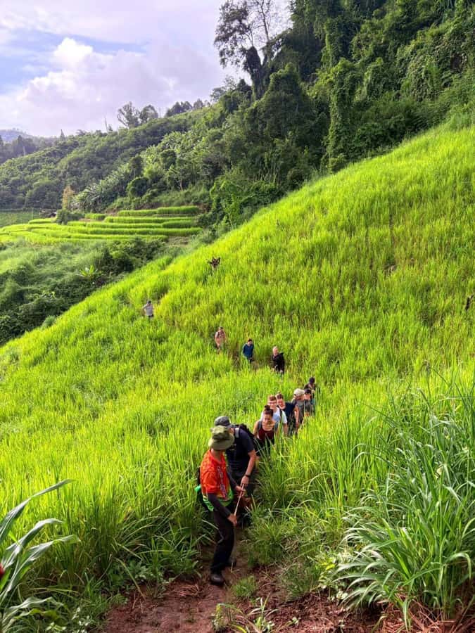 Chiang Mai: 2-Days Jungle Trek, Waterfalls and Karen Village - Waterfall swimming: the fun part, plus what to pack and expect