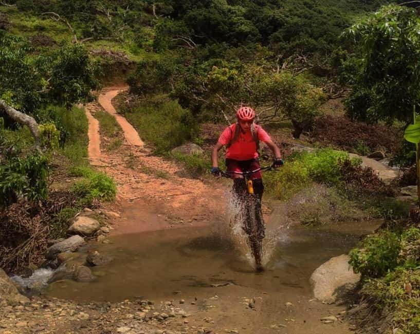 Chiang Mai: 20km Downhill Mountain Biking Challenge Suthep M - Stops that blend views and culture: San Ku, Wat Ban Khun Chang Khian, and village riding
