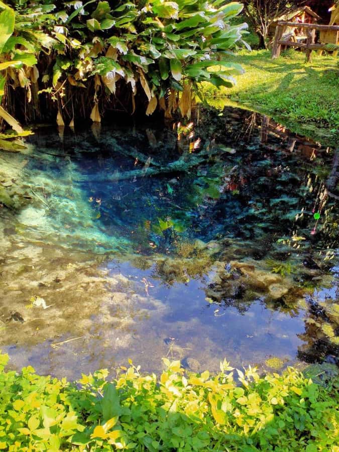 Chiang Mai: 22 km XC Mountain Biking from Sticky Waterfall - The 22 km Cross-Country Ride to Mae Kuang Lake: Dirt, Views, and That Cave Detour