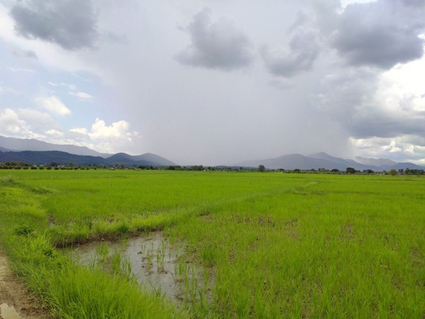 Chiang Mai: 25km Leisure Mountain Biking & Jungle Kayaking - Price and value for a 4-hour Bike and Kayak day