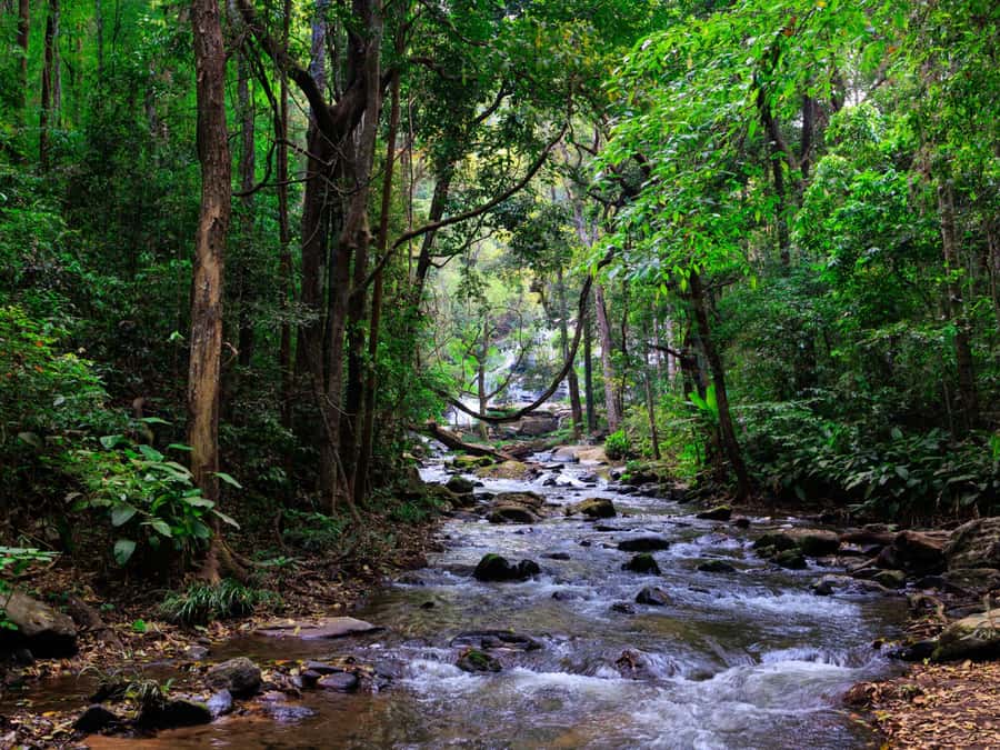 Chiang Mai: 3-Day Karen Hill Tribe Immersion with Trekking - Price and value: what $158 really buys you in real life