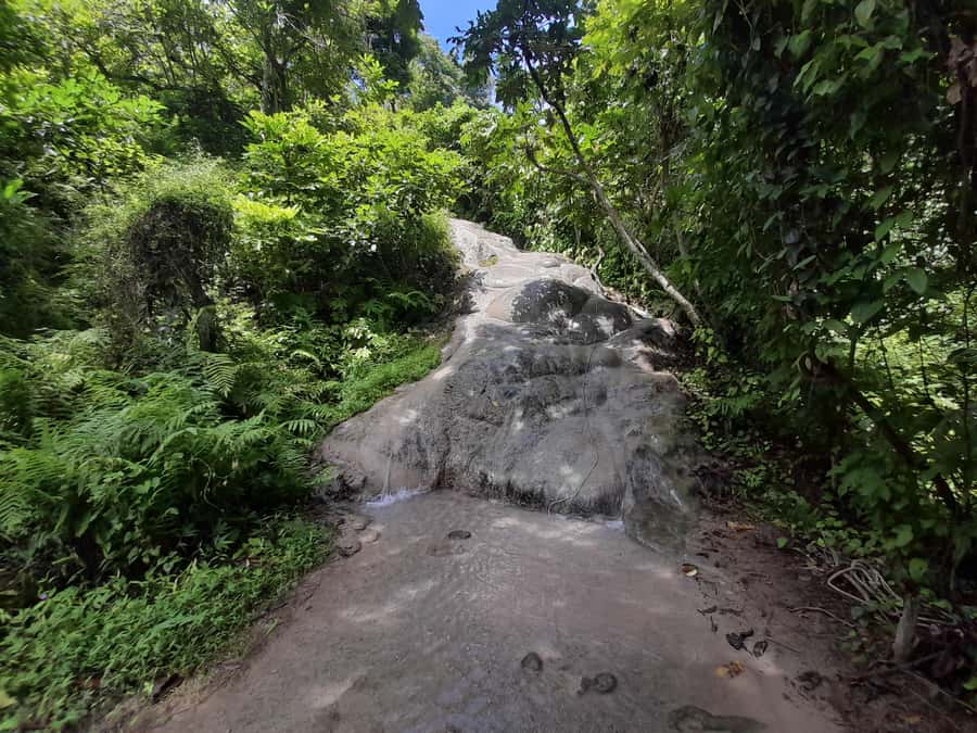 Chiang Mai: 4-Hour Sticky Waterfall Private Tour - Price and value: what you pay for, and what you get