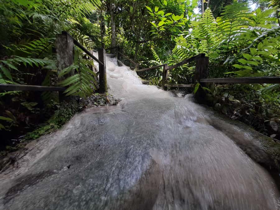 Chiang Mai: 4-Hour Sticky Waterfall Private Tour - Should you book the Chiang Mai Sticky Waterfall private tour?