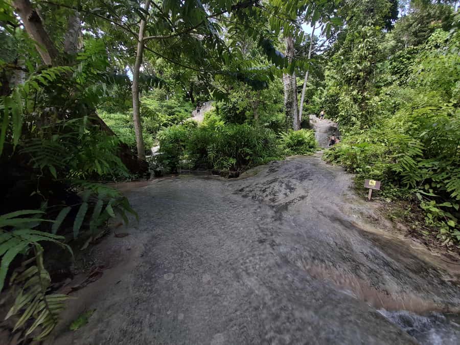 Chiang Mai: 4-Hour Sticky Waterfall Private Tour - FAQ