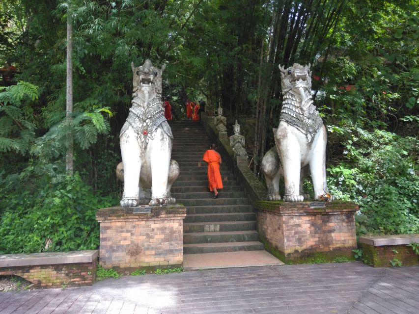 Chiang Mai: 7-Hour Doi Suthep National Park Summit Hiking - From Chiang Mai pickup to Wat Doi Suthep, you start climbing fast