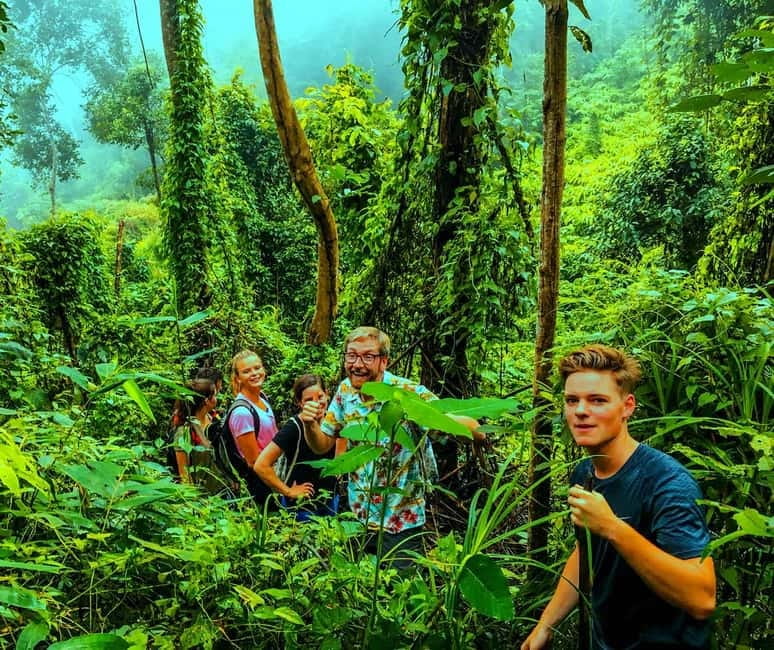 Chiang Mai: 7-Hour Doi Suthep National Park Summit Hiking - Guides, safety, and the small-group feel (this is part of the value)