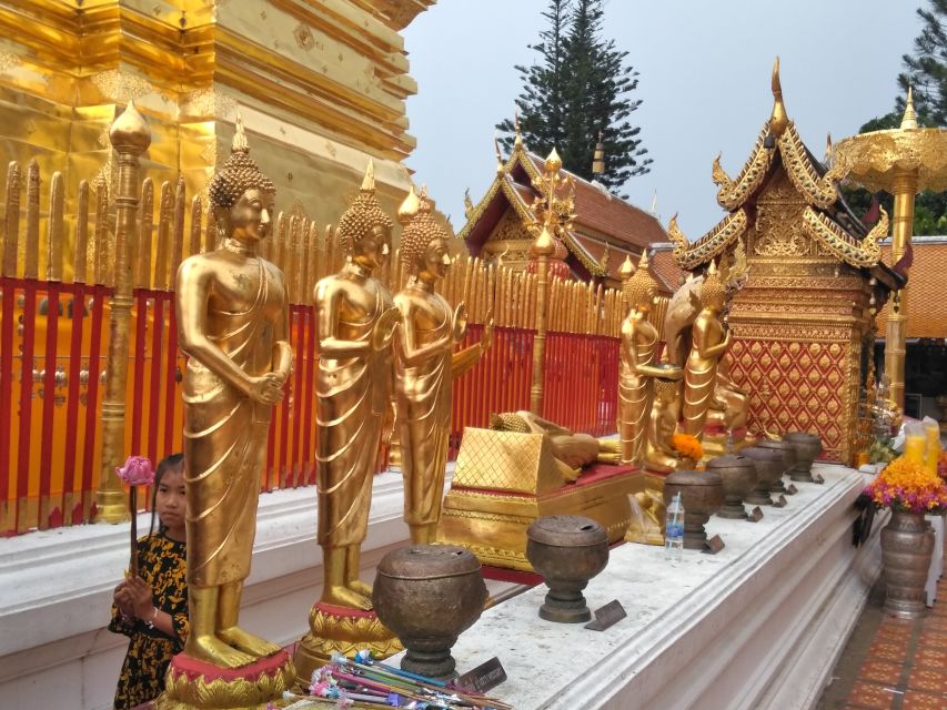 Chiang Mai: 7-Hour Doi Suthep National Park Summit Hiking - What to bring (so the steep sections don’t ruin your day)